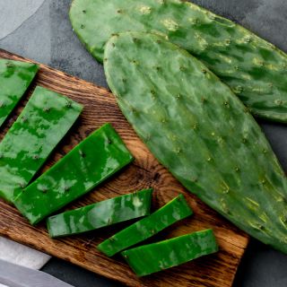 Estratto di cladodi di cactus